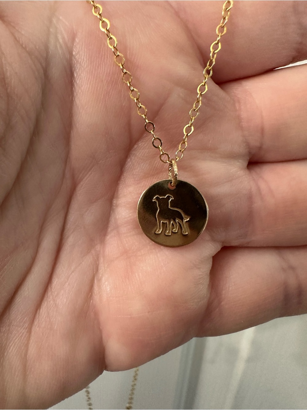 14k Gold-Filled Disc Necklace Stamped Pitbull Dog Mama Gold-Filled Chain 18.5”